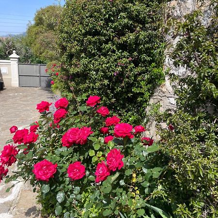 Apartament Les Trefles Hyères Zewnętrze zdjęcie