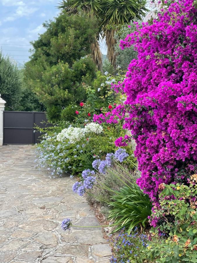 Apartament Les Trefles Hyères Zewnętrze zdjęcie